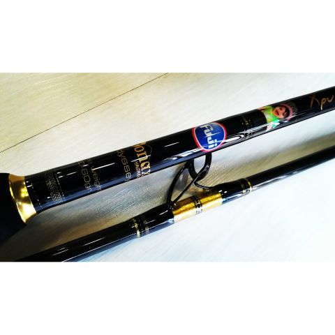 DONAX Odyssey 3,00m 20-60g Custom Rod