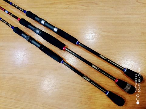 DONAX Odyssey Eging Custom Rod