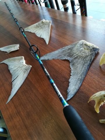 DONAX Vertical Jigging Custom Rods