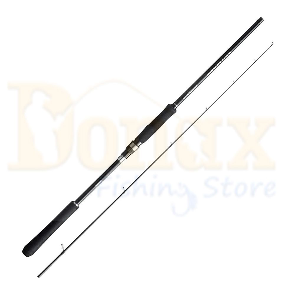 Shimano Salty Advance Shore Jig 100H