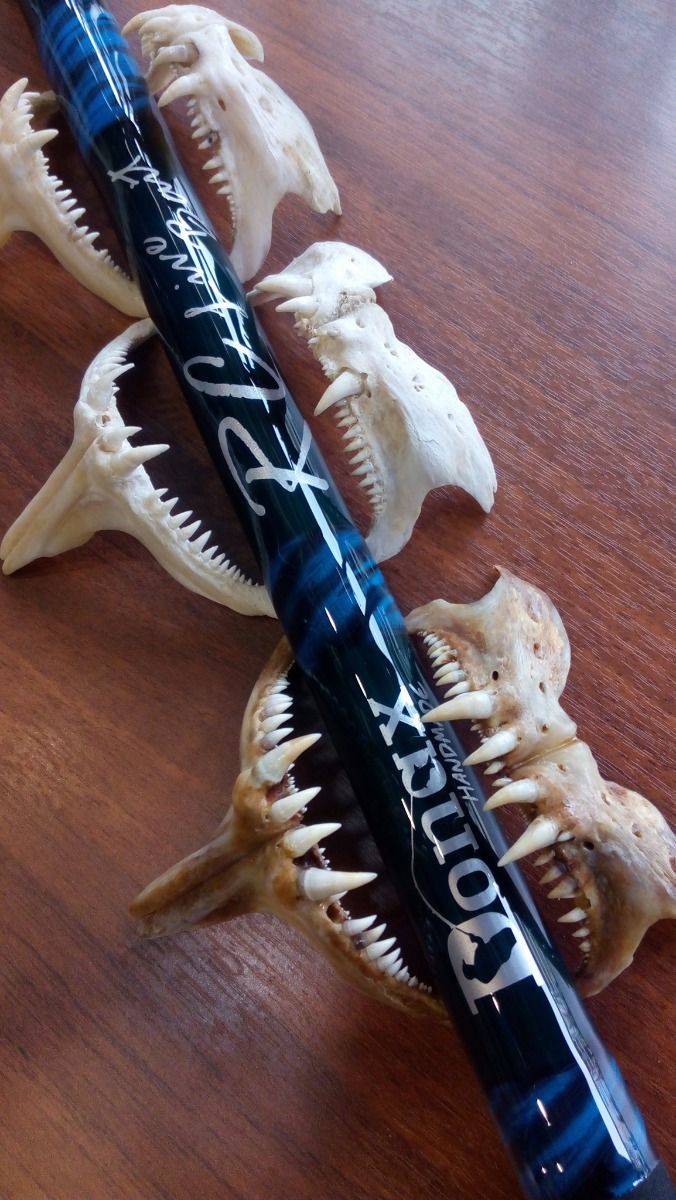 DONAX RC Live Bait Heavy Casting Custom Rod