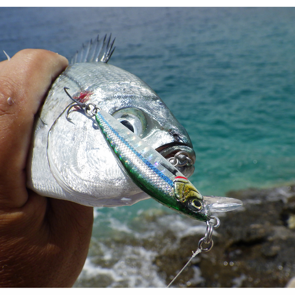 Savage Gear Gravity Minnow 60mm 12g