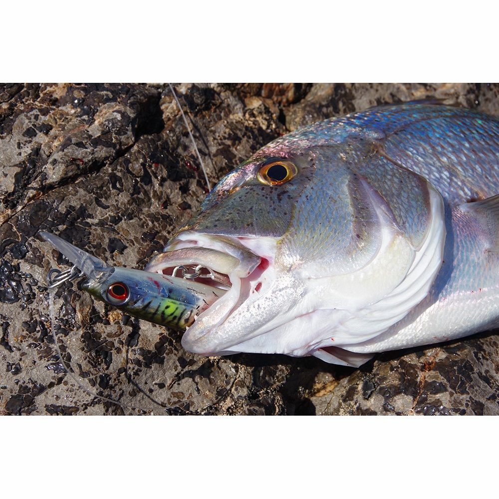 Savage Gear Gravity Runner 55g