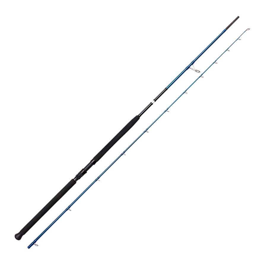 Savage Gear SGS2 Shore Jigging 20-80g